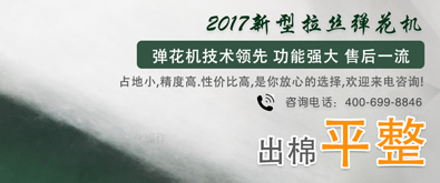 6MTB101(101)-17双辊拉丝弹花机
